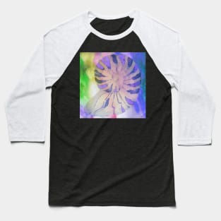 NAUTILUS SHELL IMPRESSIONS Baseball T-Shirt